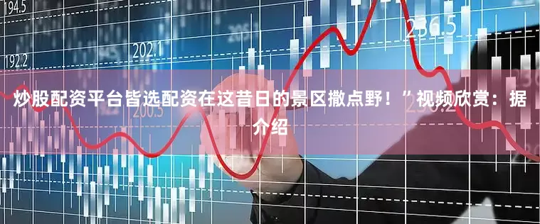 炒股配资平台皆选配资在这昔日的景区撒点野！”视频欣赏：据介绍