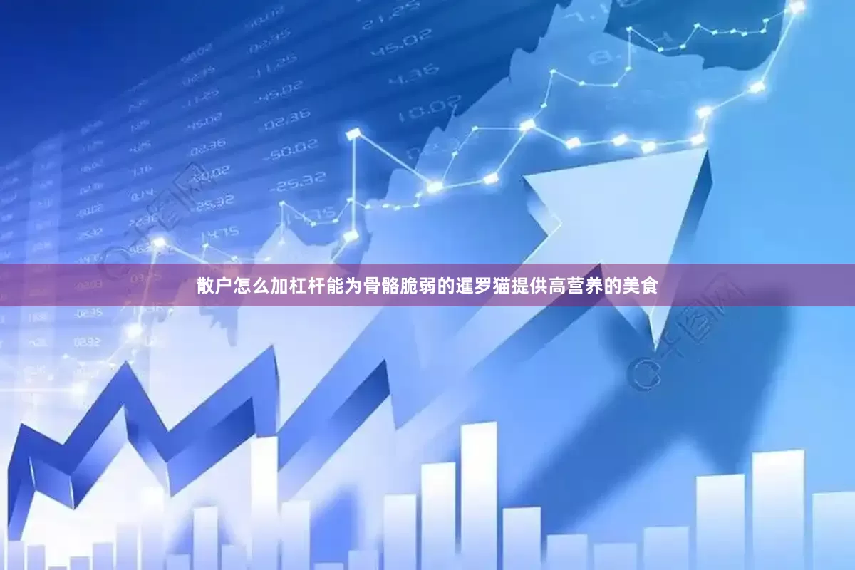 散户怎么加杠杆能为骨骼脆弱的暹罗猫提供高营养的美食