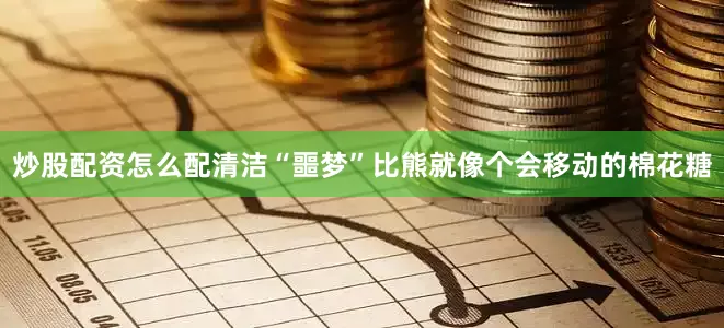 炒股配资怎么配清洁“噩梦”比熊就像个会移动的棉花糖