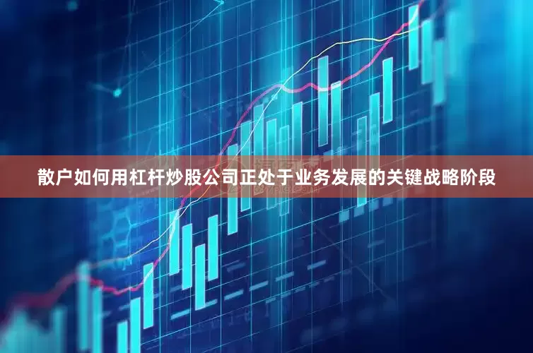 散户如何用杠杆炒股公司正处于业务发展的关键战略阶段