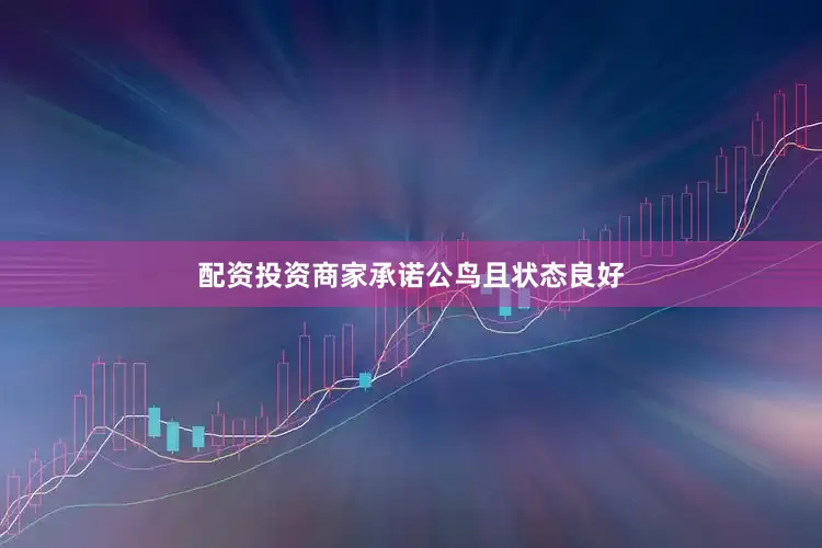 配资投资商家承诺公鸟且状态良好