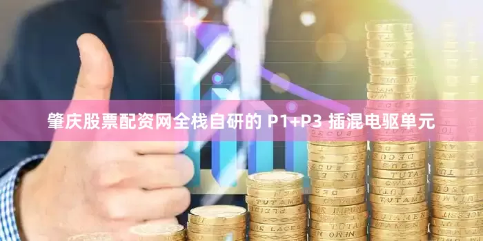 肇庆股票配资网全栈自研的 P1+P3 插混电驱单元
