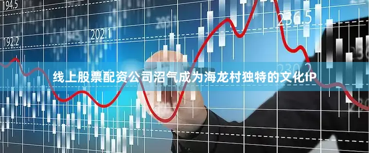 线上股票配资公司沼气成为海龙村独特的文化IP